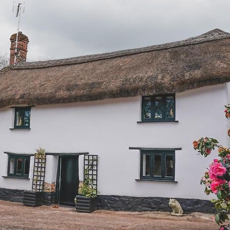 'The Cottage' Okehampton Kültér fotó
