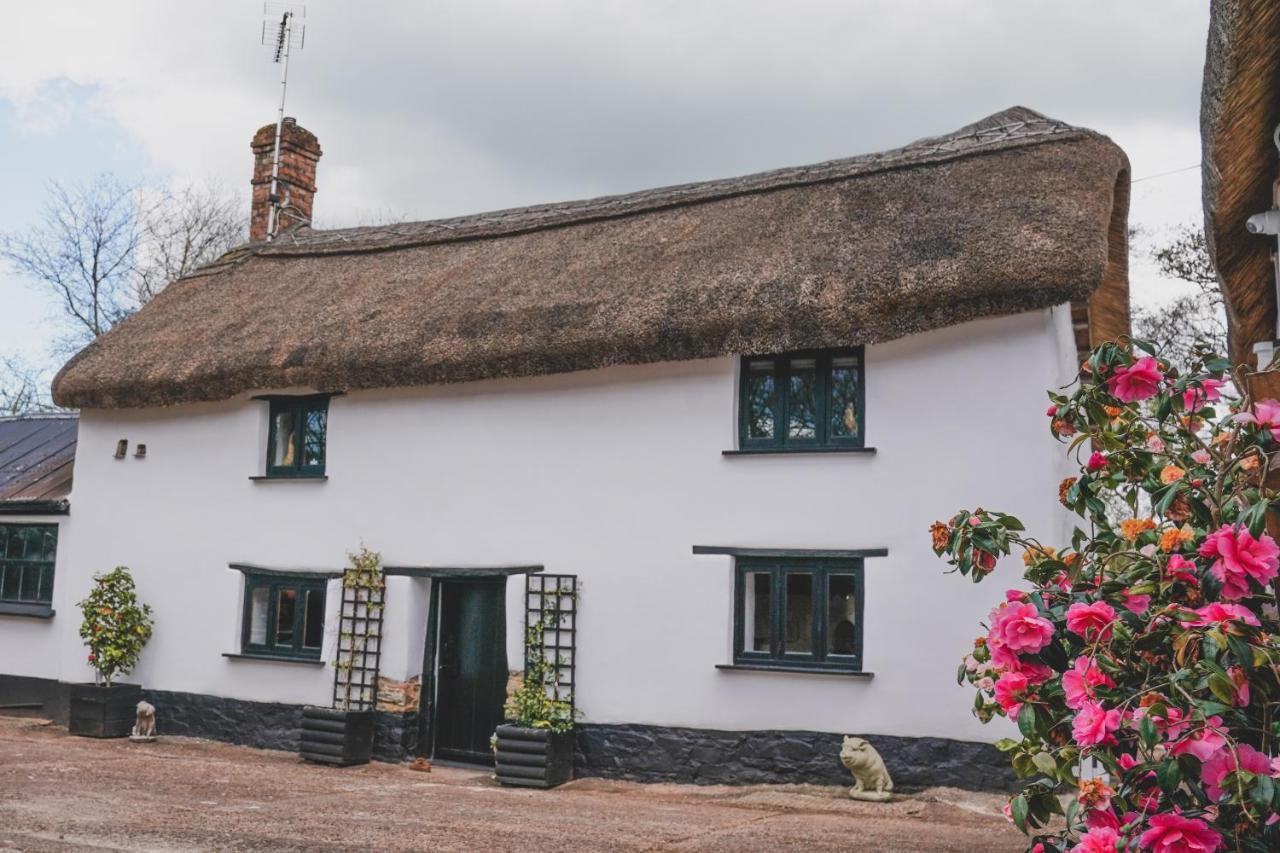 'The Cottage' Okehampton Kültér fotó