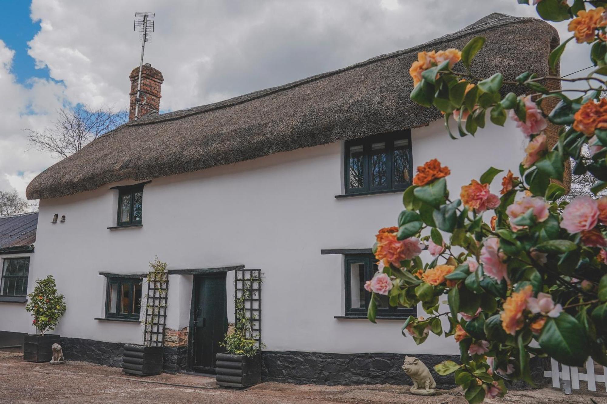 'The Cottage' Okehampton Kültér fotó
